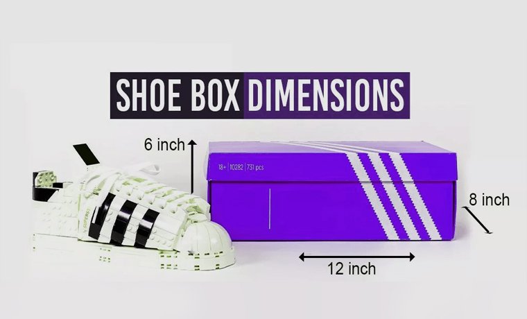Shoe Box Dimensions