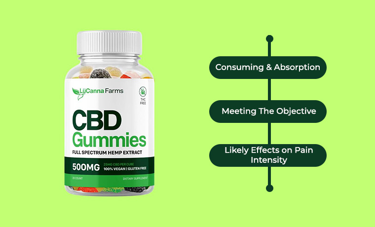 cbd gummies function