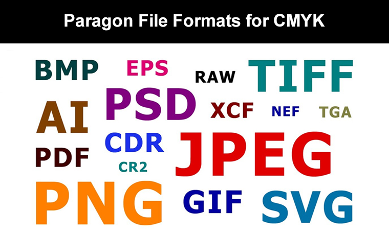 paragon file formats