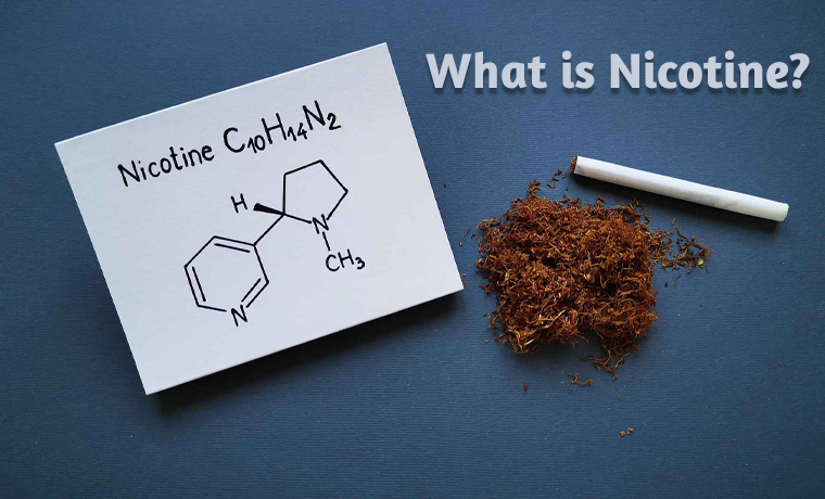 what is nicotine