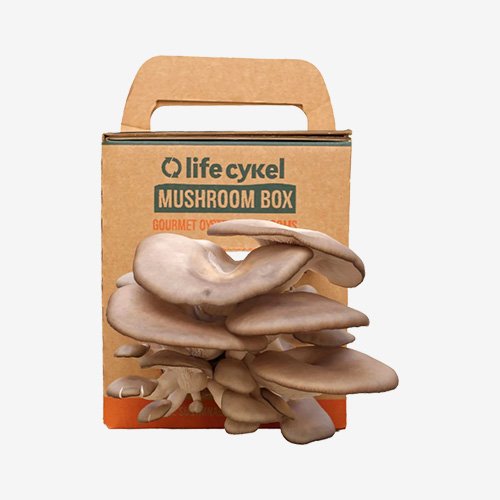 custom mushroom box