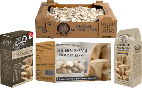 mushroom boxes