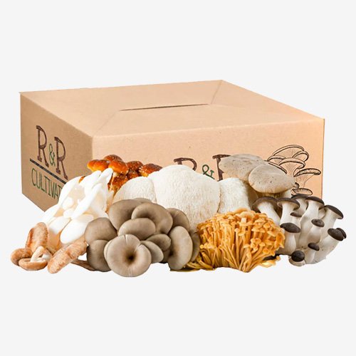 mushroom subscription boxes