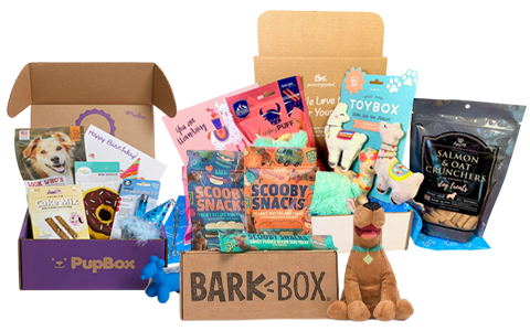 pet subscription boxes